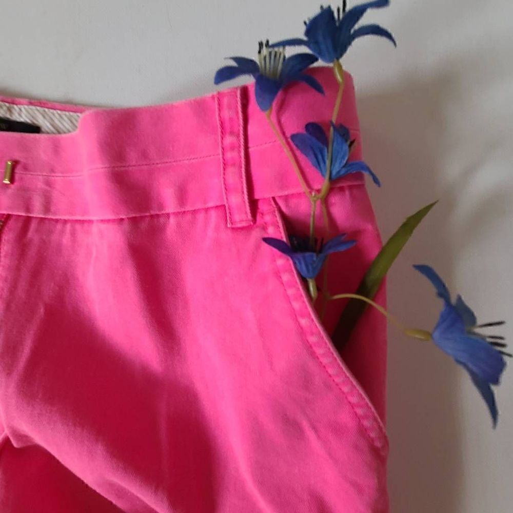 J Crew Womens Pink Zip Front Shorts Size 6 - Picture 3 of 10